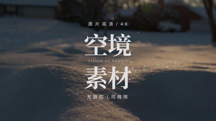 【无版权空镜】In the cold wind