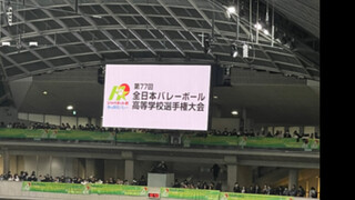 来看春高决赛了！🏐
