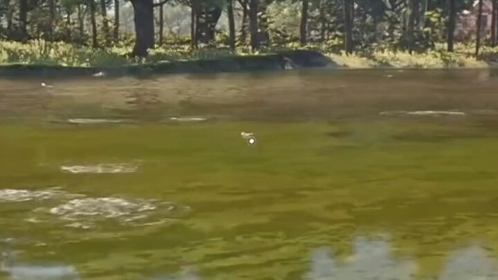 #shorts #gaming #games