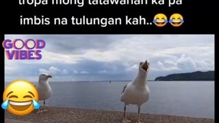 tropa mong na disgrasya kana tatawanan kp eto tunay na kaibigan 🤣🤣🤣 real life . . .