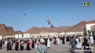 Assalamualaikum warahmatullahi wabarakatuh, Subhanallahi wabihamdihi Subhanallahil adzim