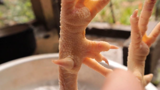 Gà 9 cựa. Đặc sản vùng miền. Món ăn truyền thuyết. Anh chàng liệt tay