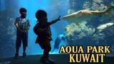AQUARIUM/ AQUA PARK SA KUWAIT / SCIENTIFIC CENTER KUWAIT/GALA DAY