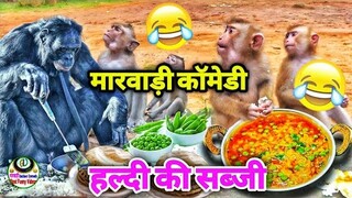 देसी जानवरो की हल्दी पार्टी स्पेशल मारवाड़ी कॉमेडी 2022 | Funny Animals Marwadi Dubbing Comedy