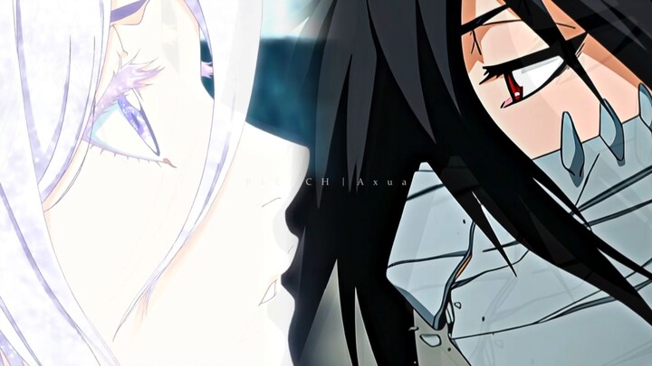 Give me the knife, BLEACH My name is not BLEACH, my name is Kuchiki Rukia