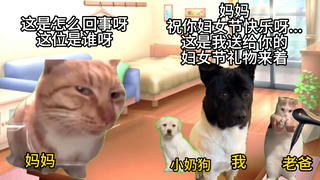 【Cat Meme】The Story of How I First Brought Home the Dog I've Been Raising for 13 Years