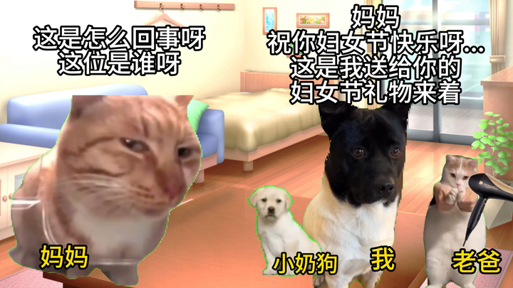 【ميم القط】قصة كيف جلبت كلبي الذي ربيته لمدة 13 عامًا إلى المنزل في البداية