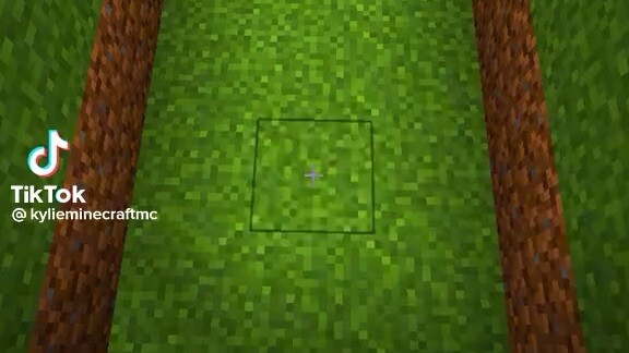 Gameminecraftmc🤪