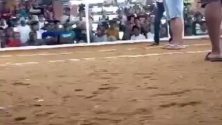 another win 5k sweater ecc gf x Kelso mjc gf at tagkawayan cockpit arena