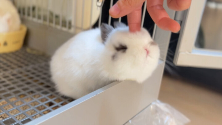 It’s the full moon—time for an auntie cuddle!