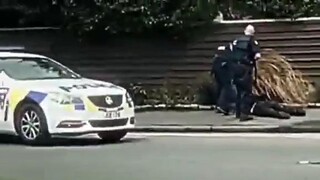 Brenton Tarrant edit 32