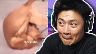 Chó: Cầu người không bằng cầu chính mình!! [Loạt video bao tang]