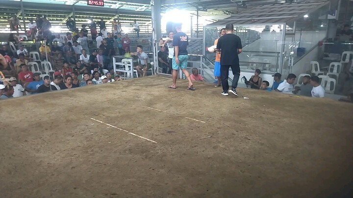 Alimbuyugin vs white kelso(Tinola lines)