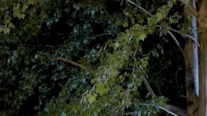 (เต็มเรื่อง)หัวหน้าแก๊งมาเฟียเย็นชาหวั่นไหวต่อซินเดอเรลล่าใจดี จับมือถูกปฏิเสธห้ามใจไม่อยู่บอกรู้สึก