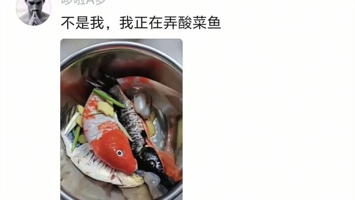 Cười không nổi luôn, cá do ai giết? Dân mạng tự minh oan mà ai nấy đều trông như nghi phạm