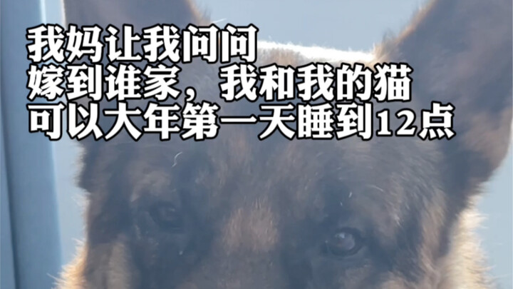 Aku…….. Ibuku suruh nanya, siapa yang tahan sama aku sama anjingku?