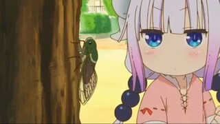 _Mengumpulkan Serangga ‐Kobayashi-san Chi no Maid Dragon S