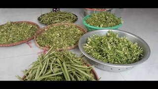 Bông đu đủ đực.cứu rất nhiều người nghèo.