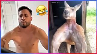 Try Not To Laugh challenge 😅 ~ The Best Videos on the Internet