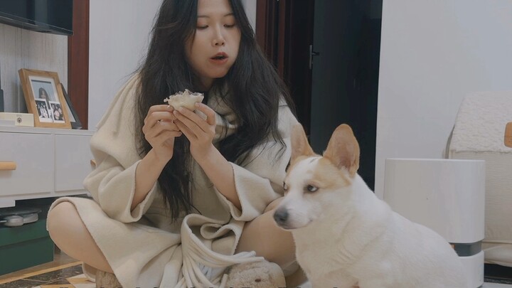 Kecerdasan anjing ini mungkin lebih tinggi daripada saya