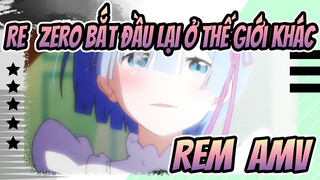 Re: Zero Bắt đầu lại ở Thế giới khác| Rem  AMV