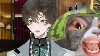 So helpless, they said I speak Japanese like a watermelon cat
