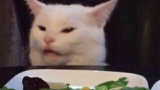 Kumpulan kucing paling aneh sepanjang sejarah! Smudge si kucing yang bingung