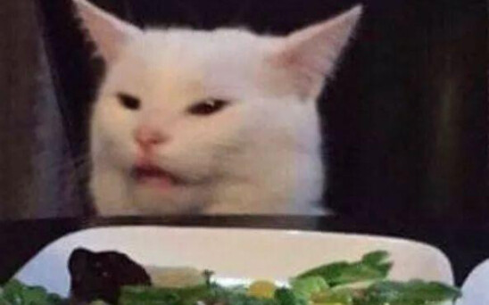 The Most Clumsy Cats Ever! Smudge the Confused Cat