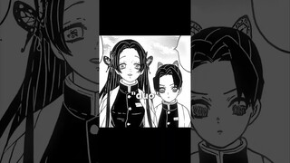Best "DUO" in Demon Slayer 🥶