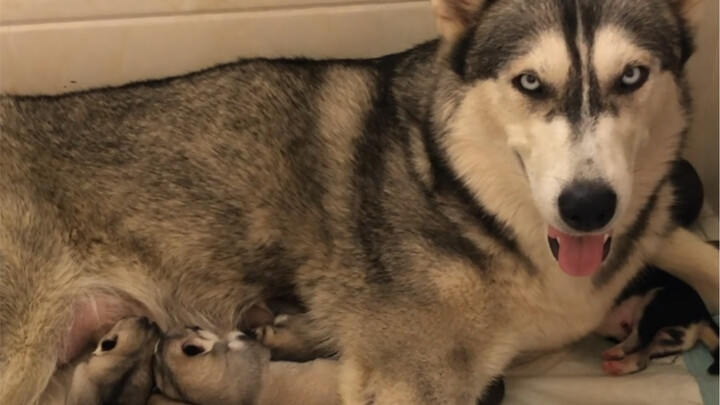 Shi Yun Duo’s Already a Mom!