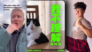 我不理解猫咪版‼️禁止吃饭观看😂