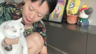 那些年我的宠物