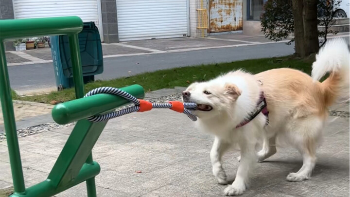 Mama besok malam sudah pulang kok!