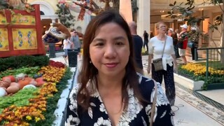 Walking tour to Bellagio Hotel Garden Las Vegas