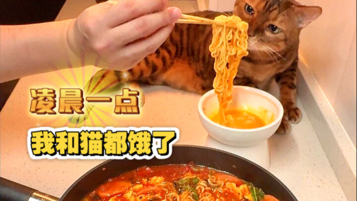 It’s 1 a.m., and both my cat and I are hungry!
