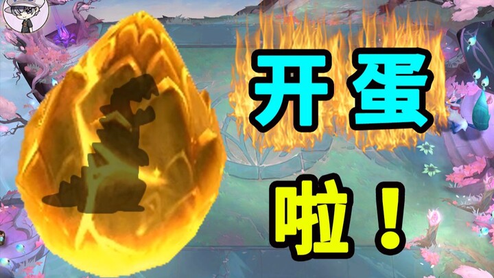 【刷了3000个回合】25个超级龙蛋一次看个爽