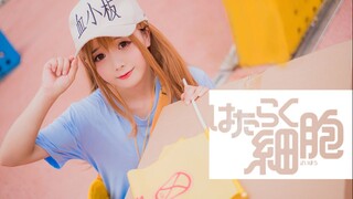 [Dance]BGM: Cells at Work OP & Platelet Character Song