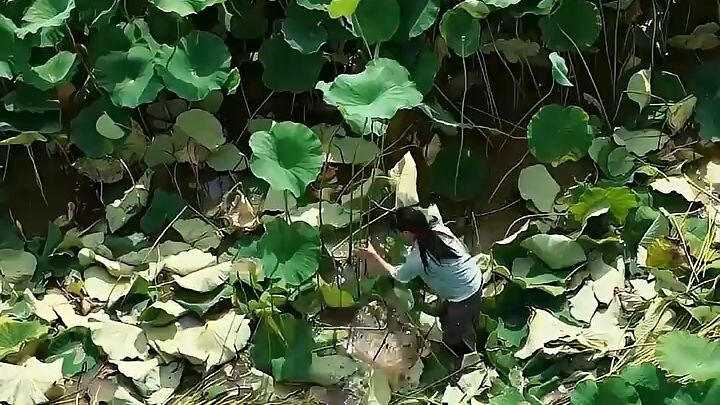 Wait until end, and see the magic