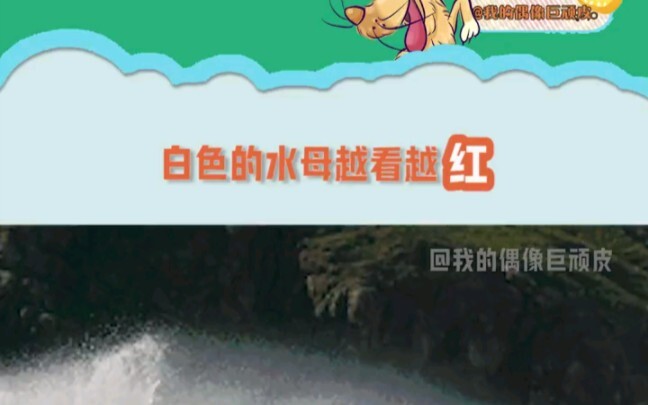 Born in China, it didn’t become widespread here, but it took off over in Japan.