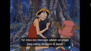 lawan belamy 1 jam nyari kumbang hercules sampai pagi hadeh luffy luffy 😅😅🤦♀️