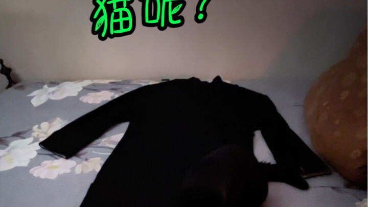 家人们，这么大个猫我都看不见！我是不是视力真有问题了？