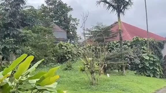 cantik