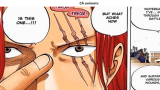 Tất tần tật về năng lực và sức mạnh của Shank _ Giả Thuyết _ 2