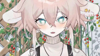 [แนะนำตัวเอง] ฉันเจอกระต่ายตัวใหม่ในอีก 13 วินาที คุณจะพาฉันกลับบ้านไหม~