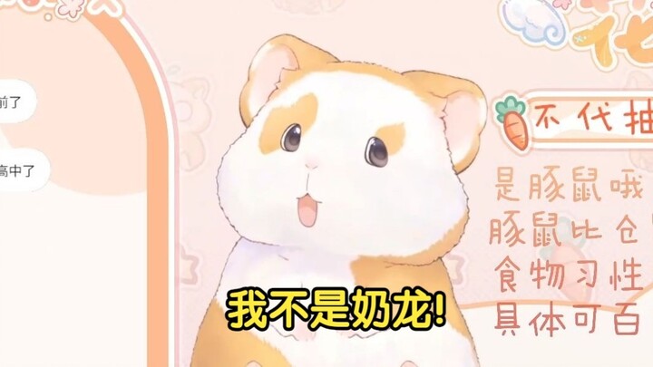 花玲：我不是奶龙！（最唐的一集）【花玲片2】