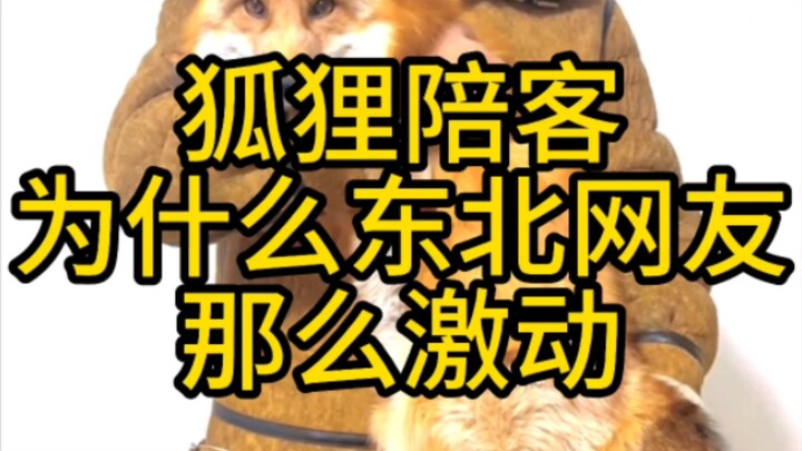 Why are Northeastern netizens so excited?