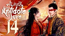 [WeTV] EP14/24 The Antidote to Love (2025) [1080p] [Everyday | 12nn]