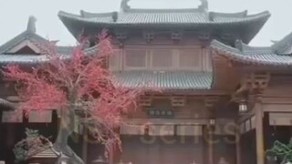 ซ่งชิงหร่าน ชายาอ๋องเซวียนอู่ _พากย์ไทย
