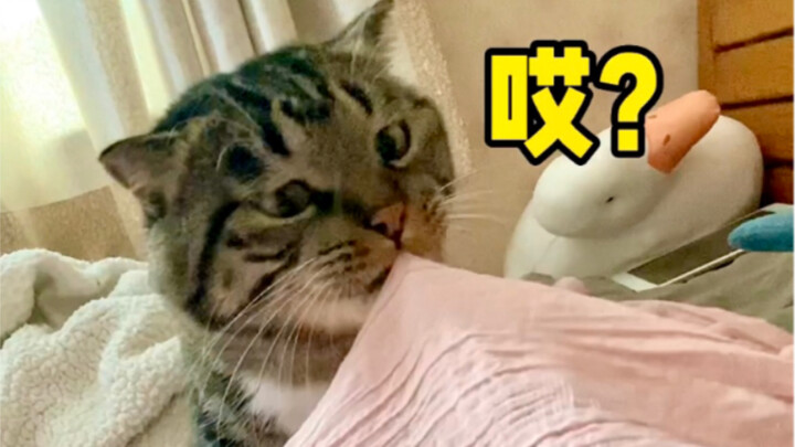 นี่พี่ใหญ่คนไหนกลับชาติมาเกิดกันนะ?