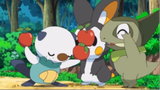 Oshawott và ĐỒNG BỌN pokemon dễ thương của bé